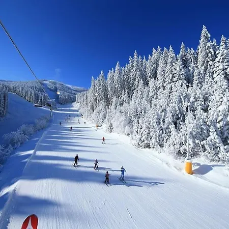 Apartment Alpin Penthouse 2 Bedroom With Fireplace And Mountain View